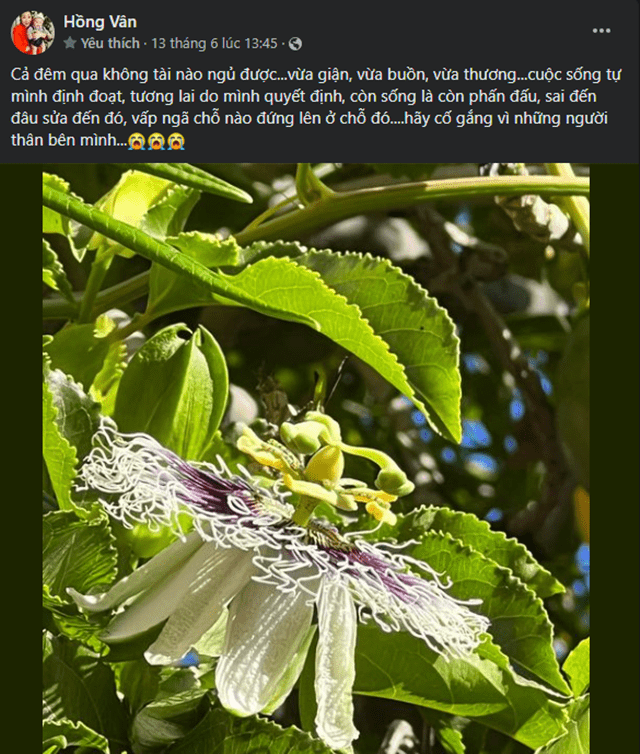 NSND Hồng Vân là ai? Nghệ sĩ hài gạo cội vướng nhiều thị phi của showbiz Việt - Ảnh 1