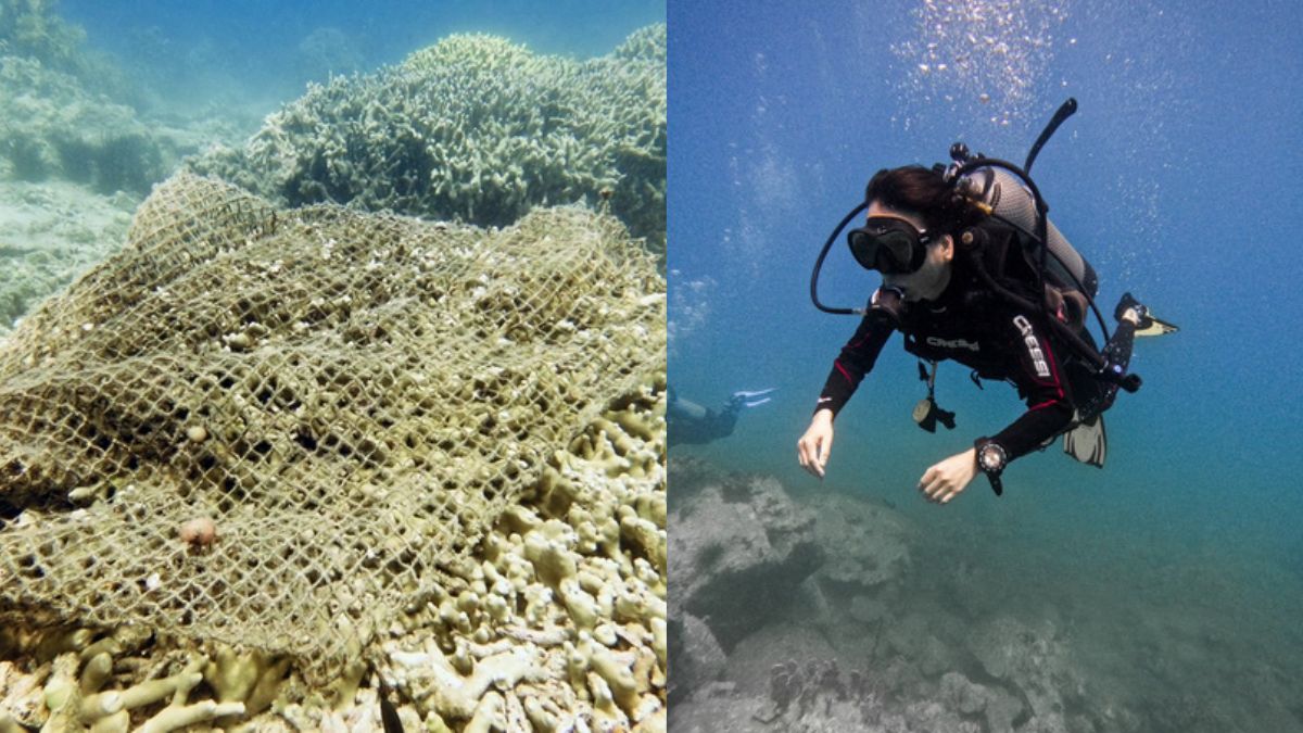 Nha Trang tạm dừng hoạt động du lịch lặn biển 