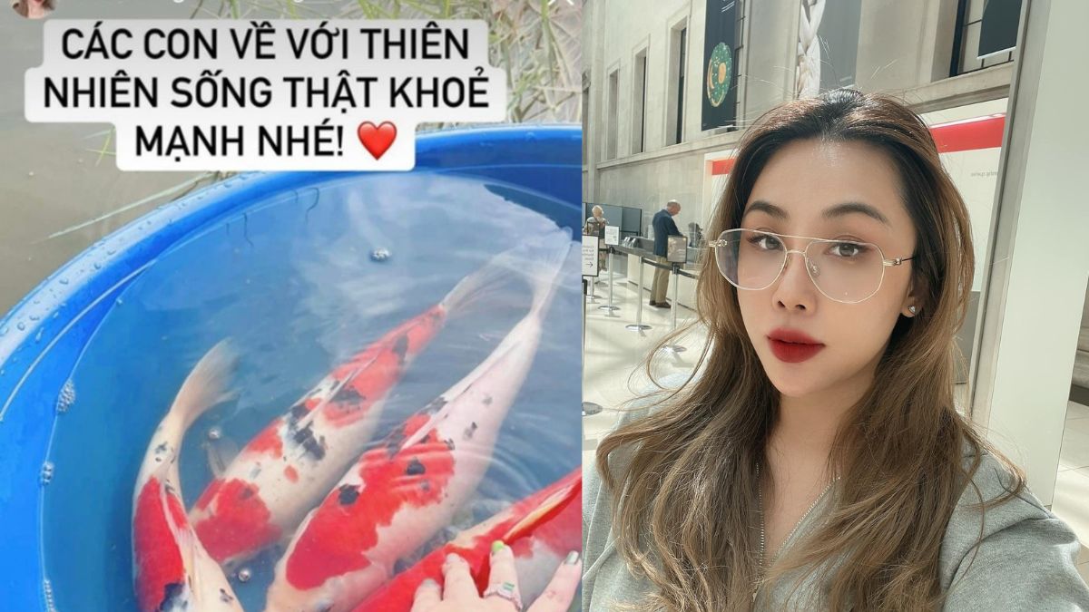 Nhà văn Gào làm dậy sóng MXH khi phóng sinh cá Koi xuống sông