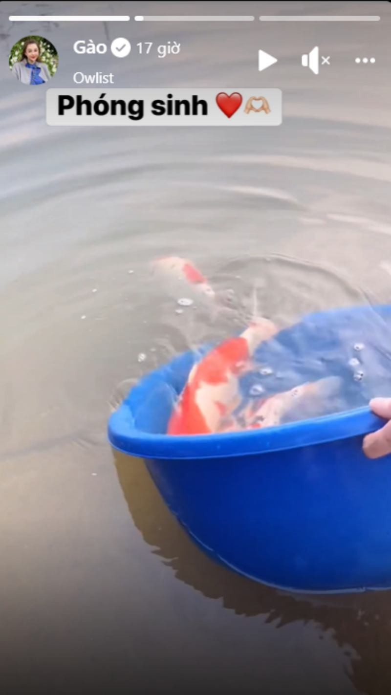 Khoe clip phóng sinh cá Koi xuống sông, nhà văn Gào bị mỉa mai: 