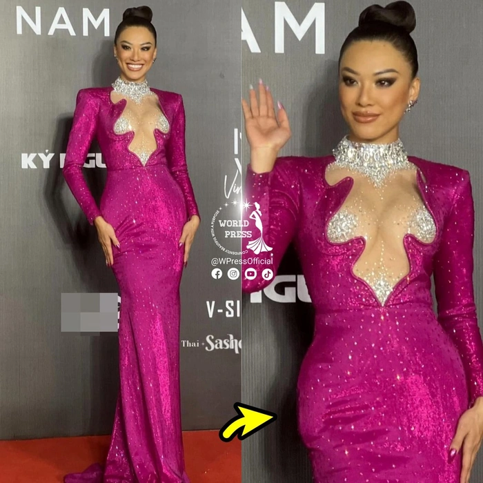 Kim Duyên bị mời ra khỏi thảm đỏ Hoa hậu Hoàn vũ vì 