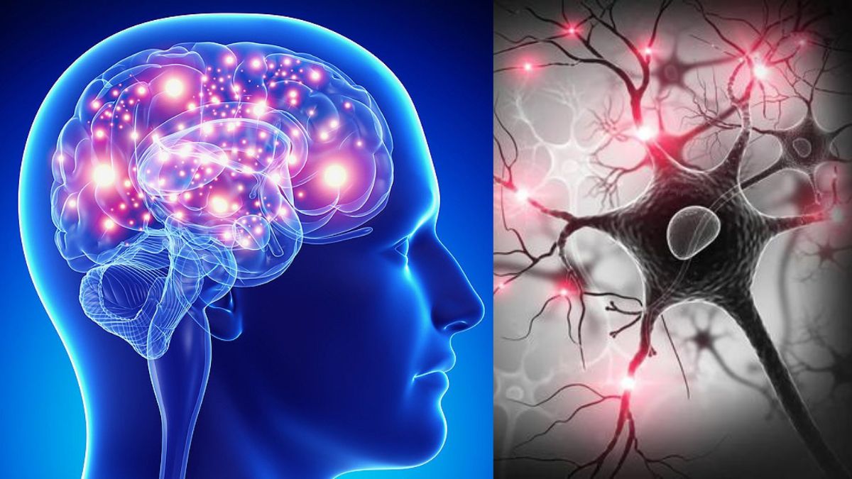 Xuất hiện bệnh não mới ở 40% người cao tuổi 