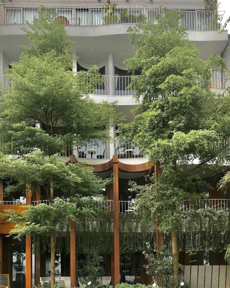 Quán cà phê mua mang về gần đây nhất tại Hà Nội, TP. Hồ Chí Minh - Ảnh 1