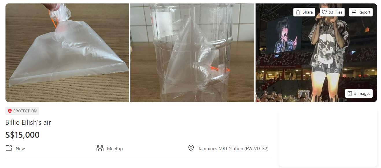 Fan Billie Eilish rao bán gói không khí trong buổi hòa nhạc của thần tượng với giá 250 triệu đồng - Ảnh 4