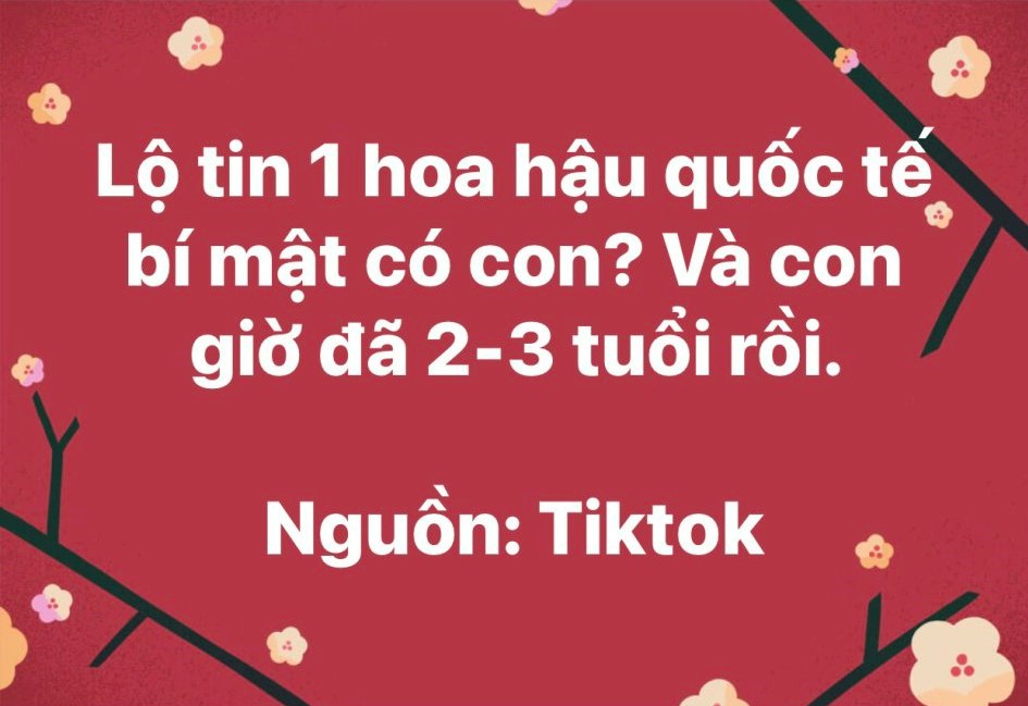 Rộ tin một Hoa hậu quốc tế bí mật có con 2 - 3 tuổi, Phương Khánh liên tục bị réo tên- Ảnh 2