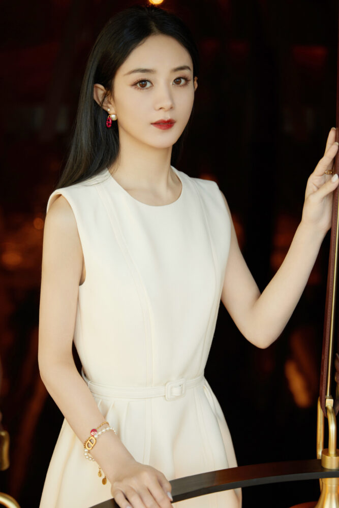 Triệu Lệ Dĩnh là ai? Nàng tiểu hoa đán 85 của Cbiz, vợ cũ Phùng Thiệu Phong - Ảnh 4