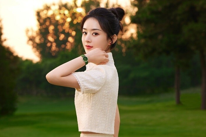 Triệu Lệ Dĩnh là ai? Nàng tiểu hoa đán 85 của Cbiz, vợ cũ Phùng Thiệu Phong - Ảnh 9