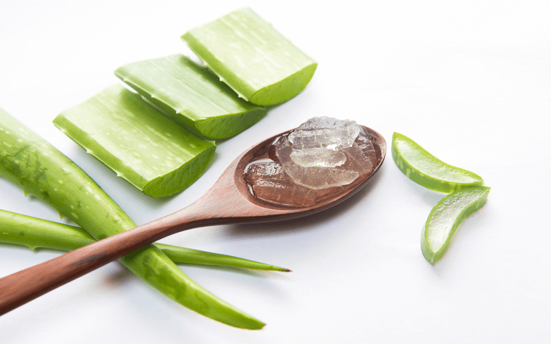 Bí quyết giảm cân bằng lô hội không phải ai cũng biết
