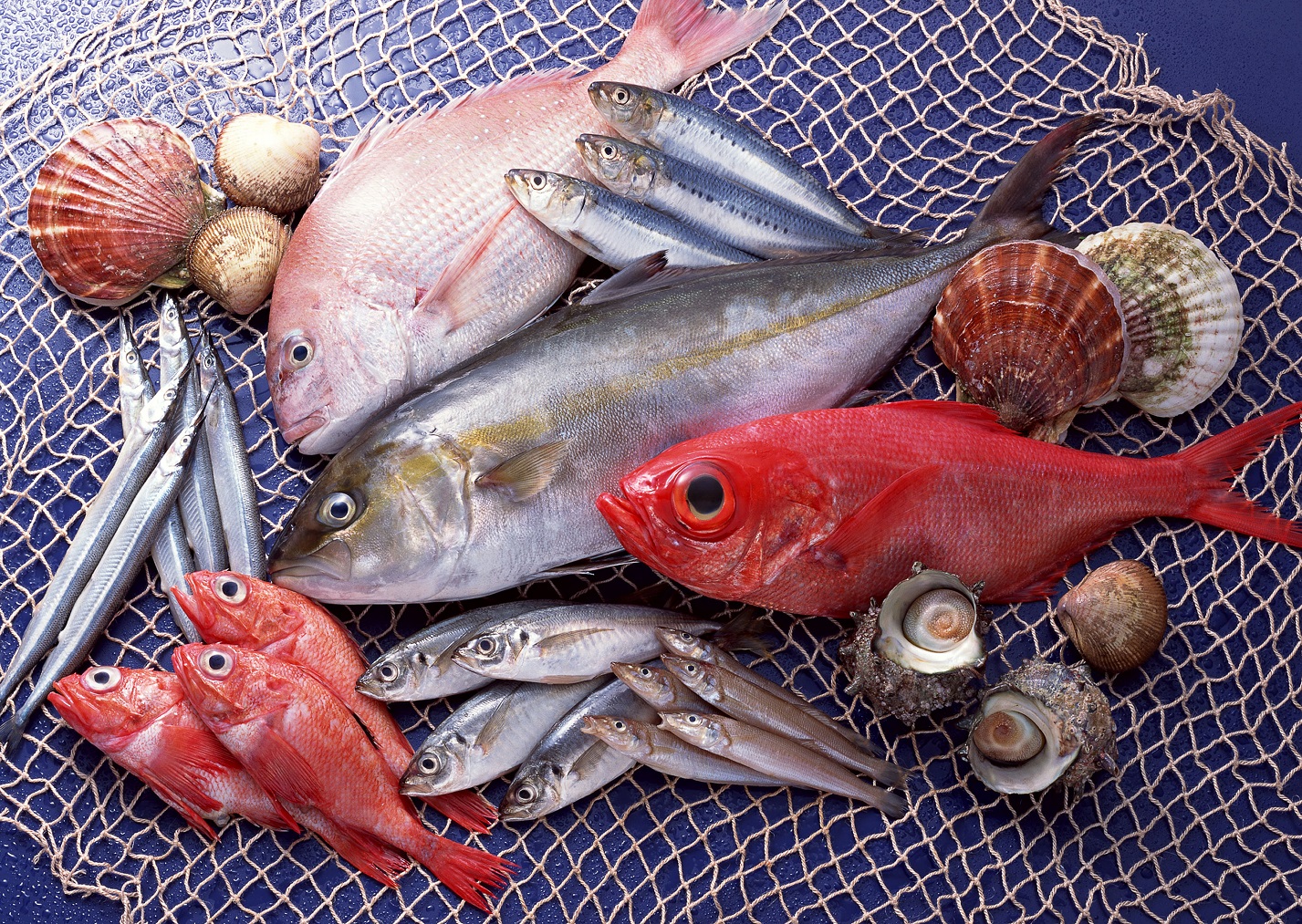 Trong thịt cá chứa rất nhiều dưỡng chất tốt cho sức khoẻ. Ảnh: internet