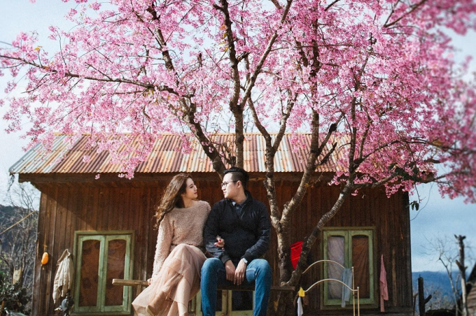 Du lịch Đà Lạt tháng 12, nhớ ghé 5 cung đường mai anh đào đẹp ngất ngây này