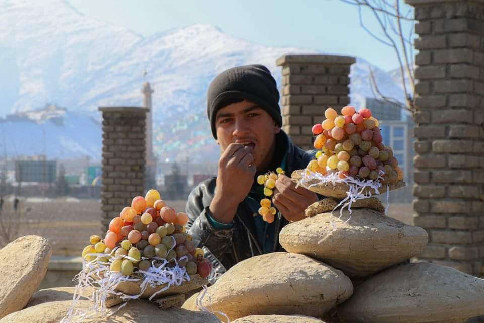 Ở Afghanistan, người dân sử dụng phương pháp này để bảo quản nho trong suốt mùa đông.