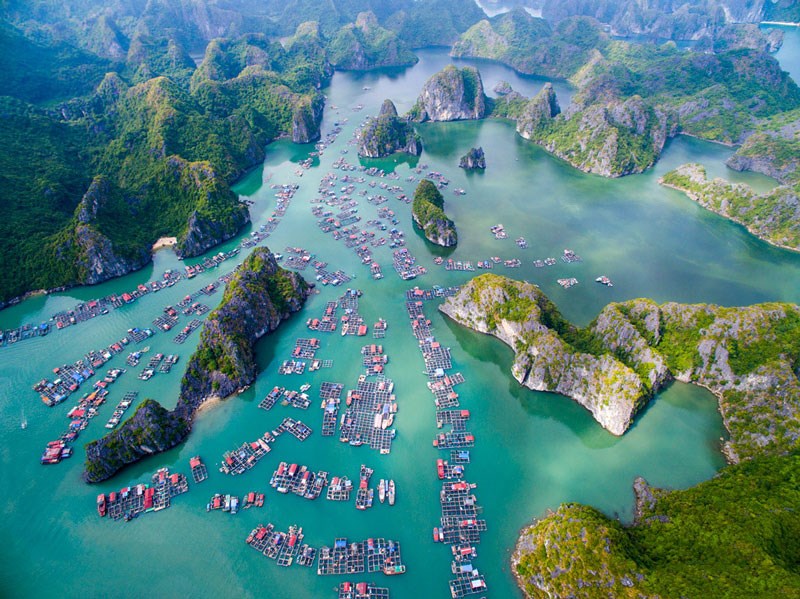 Đảo Cát Bà đứng đầu trong danh sách tìm kiếm những địa điểm du lịch nổi tiếng ở Việt Nam.