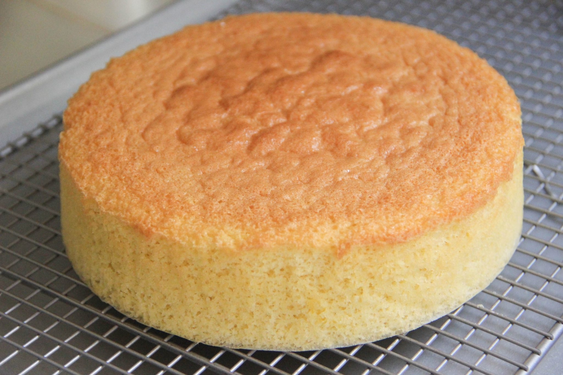 Sponge cake có kết cấu cứng cáp, chắc chắn hơn chiffon cake.
