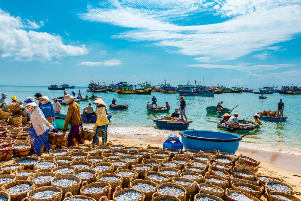 Du lịch Phan Thiết có gì: 3 khu chợ nổi tiếng nhiều đồ ăn ngon nên ghé