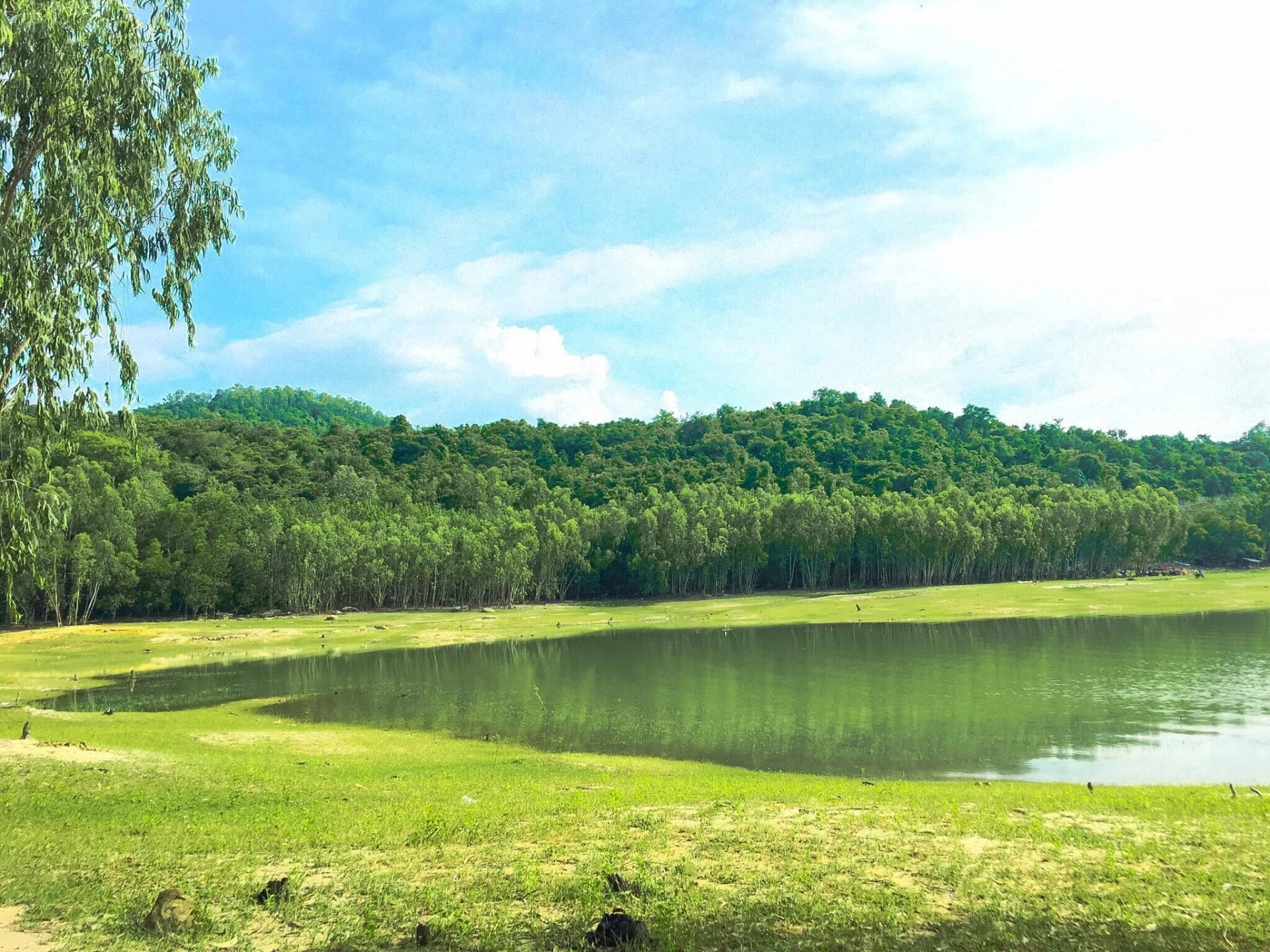 Khung cảnh thiên nhiên tuyệt đẹp tại hồ Dầu Tiếng. Ảnh: Quỳnh Như.