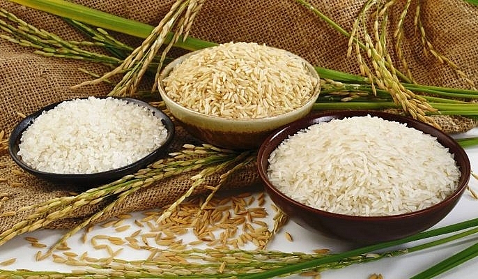 Lúa nước (lúa gạo) là một trong những loại lương thực chính.
