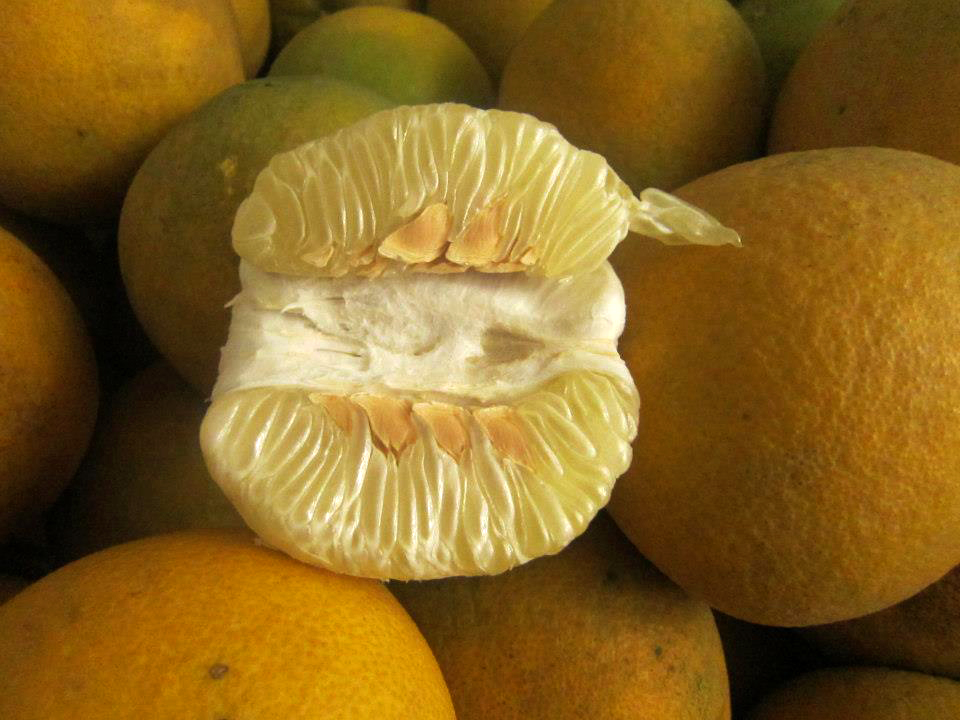 Bảo quản bưởi Diễn thế này thì để nửa năm vẫn luôn tươi ngon, mọng nước