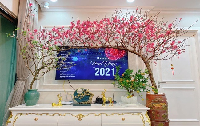 Cành đào dáng huyền có gì đặc biệt mà giá cao vẫn được người người "săn đón"?