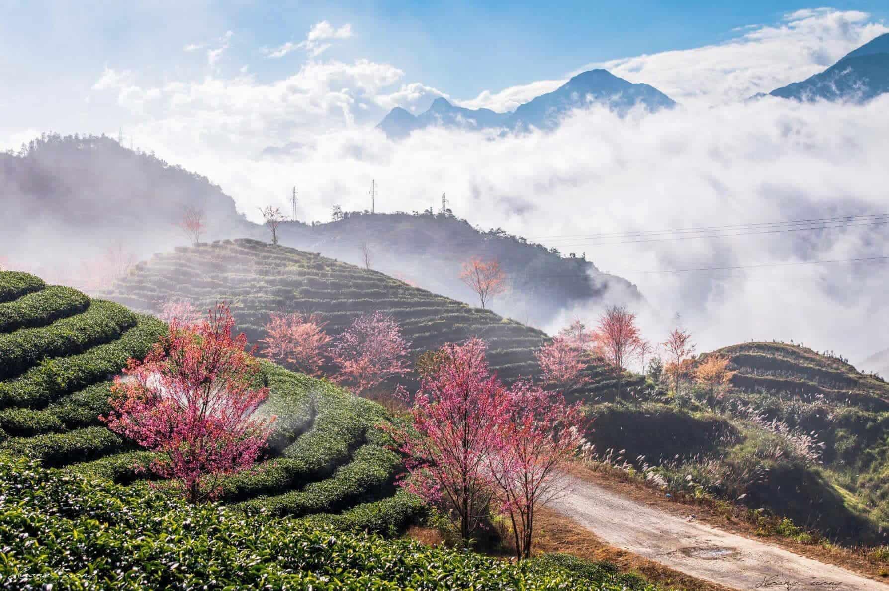 Tổng hợp 1000+ cảnh đẹp thiên nhiên, phong cảnh đẹp nhất Việt Nam - Ảnh 4