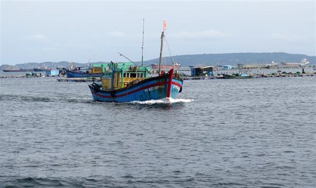 Tàu cá Bình Định gặp nạn: 11 thuyền viên an toàn, 26 người vẫn mất liên lạc