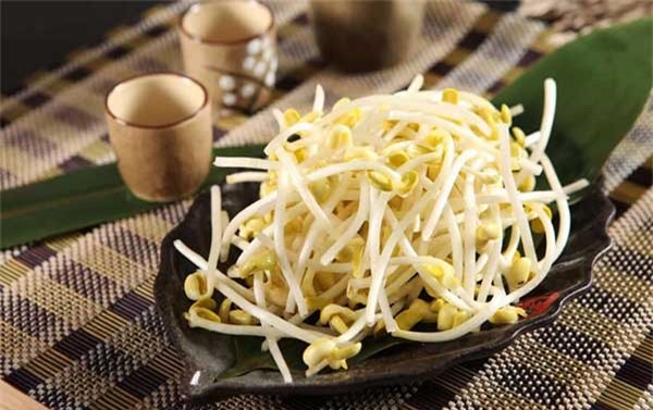 Điều gì xảy ra khi bạn ăn giá đỗ thường xuyên