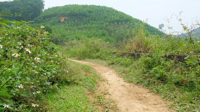 Thanh Hóa: Người đàn ông bị cắt
