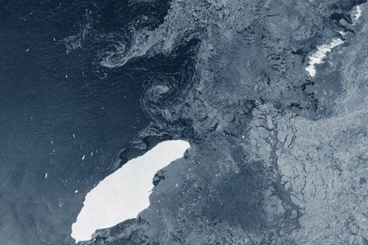 Tảng băng trôi lớn nhất thế giới sắp đâm vào đảo Nam Georgia - Ảnh 3