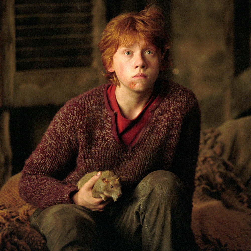 Rupert Grint chọn đi bán kem sau khi dành 10 năm cho Harry Potter - Ảnh 3