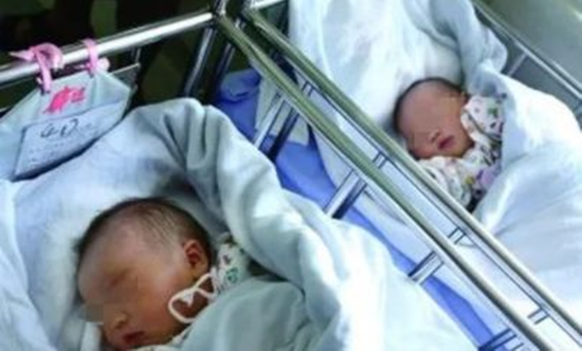 Hai chị em ruột sinh con giống hệt nhau, xét nghiệm AND mới biết cùng bố đẻ
