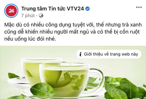VTV bắt trend đăng bài kiến thức trà xanh giữa drama Sơn Tùng khiến netizen bái phục