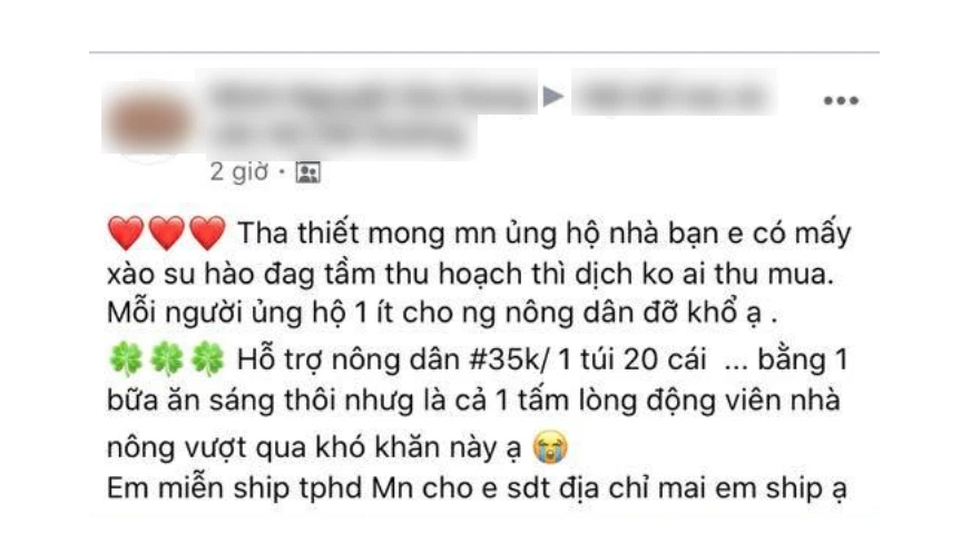 Người dân kêu gọi giải cứu nông sản giúp bà con Hải Dương, nhìn giá mà xót - Ảnh 1