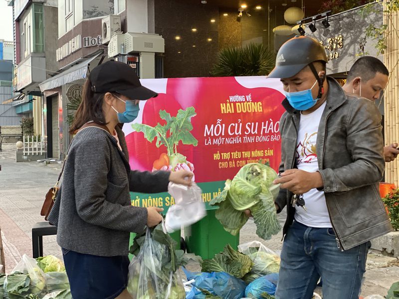 Đà Nẵng: Nhóm bạn trẻ lập 9 'siêu thị mini' giải cứu 10 tấn rau cho bà con Hải Dương - Ảnh 6
