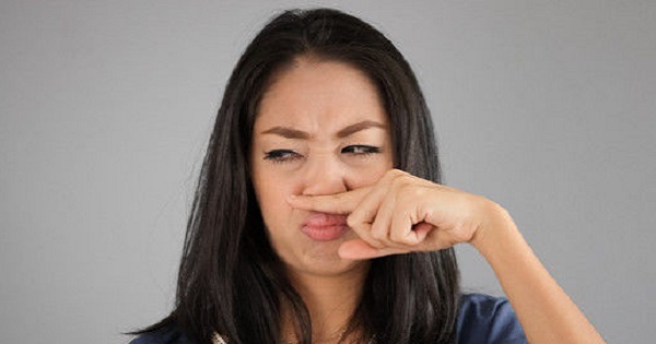 Xuất hiện nghề độc đáo nhất thế giới: Ngửi mùi 'xì hơi' kiếm hơn tỷ/năm