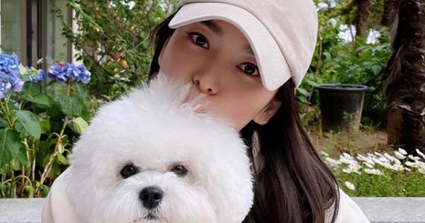 Chụp ảnh với cún cưng, Song Hye Kyo vẫn gây bão vì nhan sắc không tuổi
