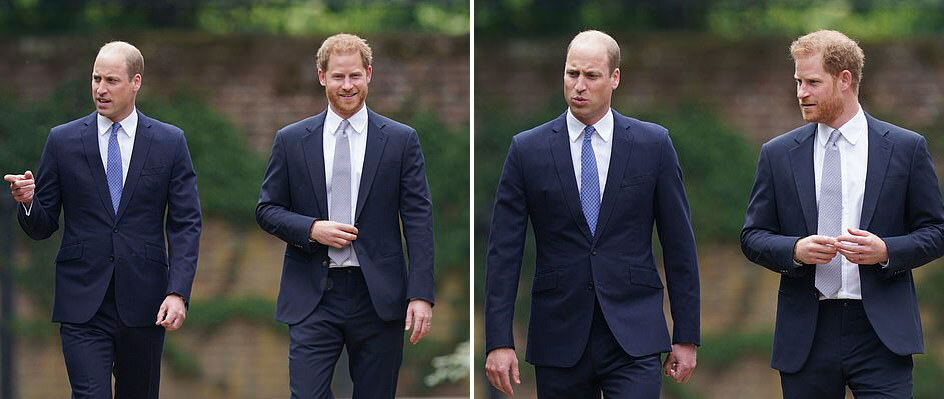 William - Harry liên tục cười với nhau khi khánh thành tượng mẹ Diana - Ảnh 2