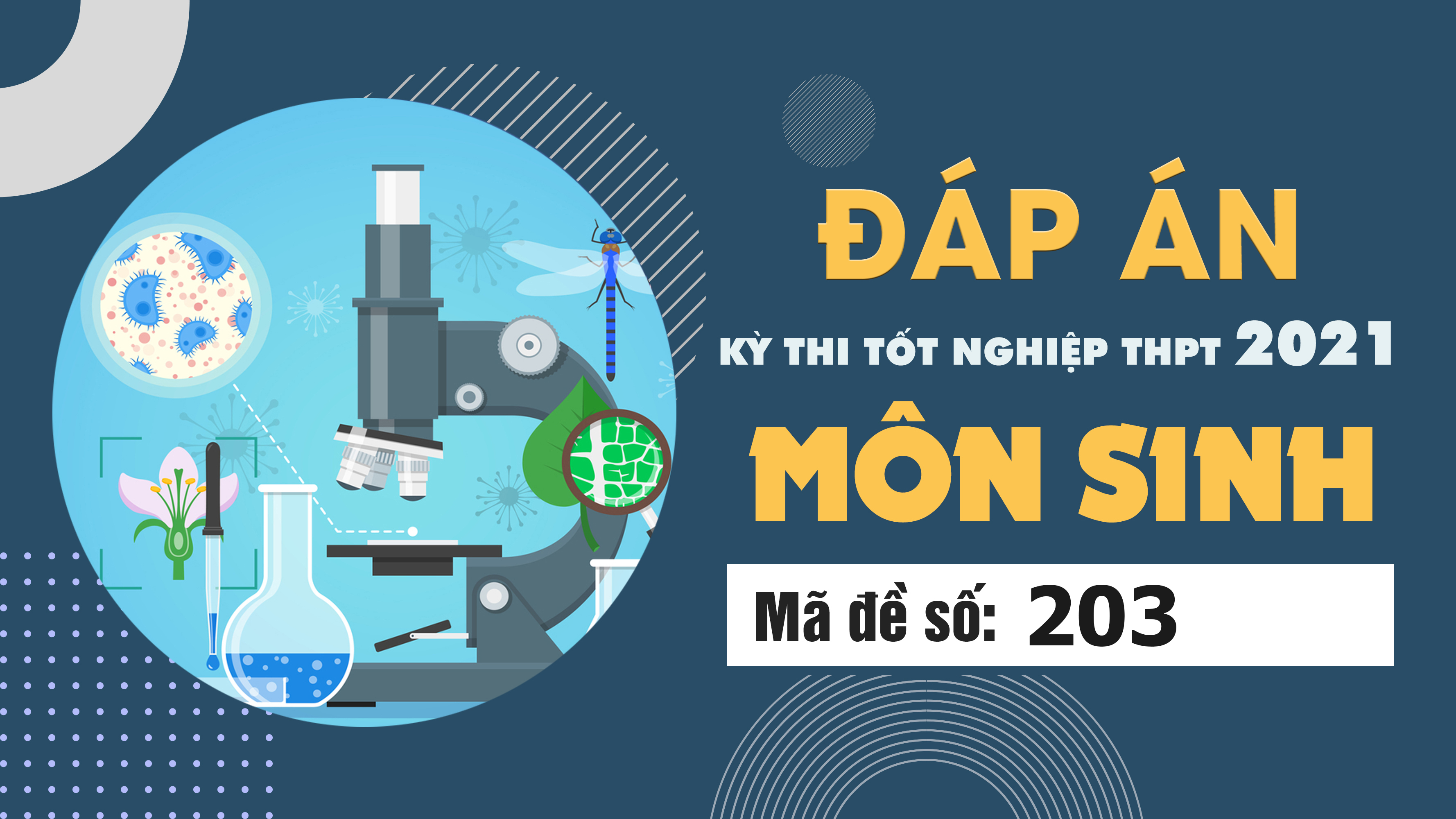 Đáp án đề thi môn Sinh học mã đề 203 THPT Quốc gia lần 1 năm 2021