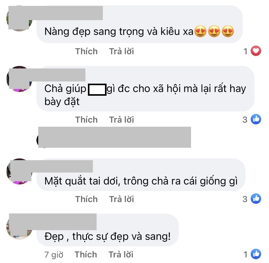 Đăng ảnh 'lấp lánh kiêu sa', Lệ Quyên lại bị anti fan làm phiền - Ảnh 3