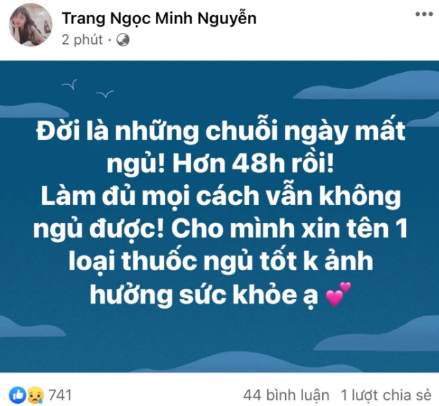 Hậu ly hôn, Lương Minh Trang mất ngủ 2 đêm liền, tuyên bố nhường Vinh Râu cho anti-fan - Ảnh 1