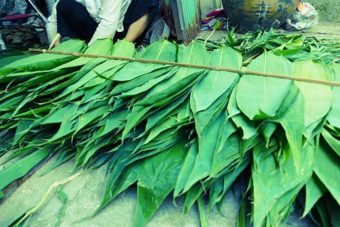Vỏ dưa hấu vứt đi ở Việt Nam có giá 'đắt như vàng' tại Nhật - Ảnh 2