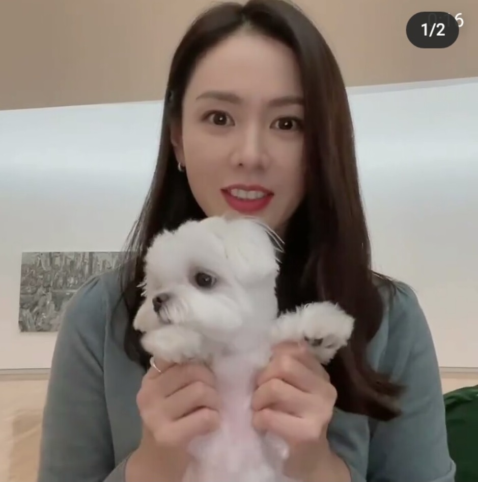 Đăng clip ôm cún cưng, nhan sắc mộc tuổi 40 của Son Ye Jin xôn xao MXH  - Ảnh 2