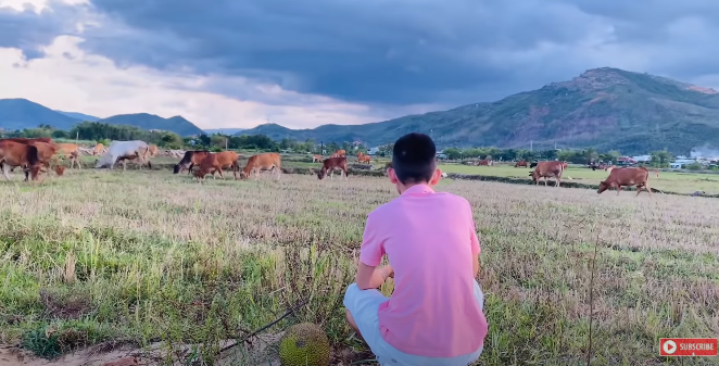 'Chàng trai chăn bò' Soytiet tung MV kết hợp producer Mỹ, hát tiếng Anh xịn sò - Ảnh 5