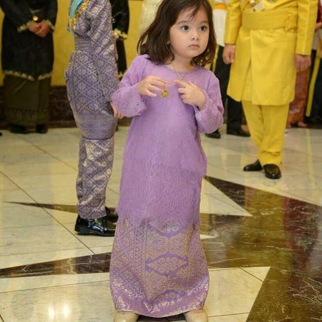 Nhan sắc xinh đẹp của 'tiểu mỹ nhân' Hoàng gia Malaysia khi lên 10 - Ảnh 6