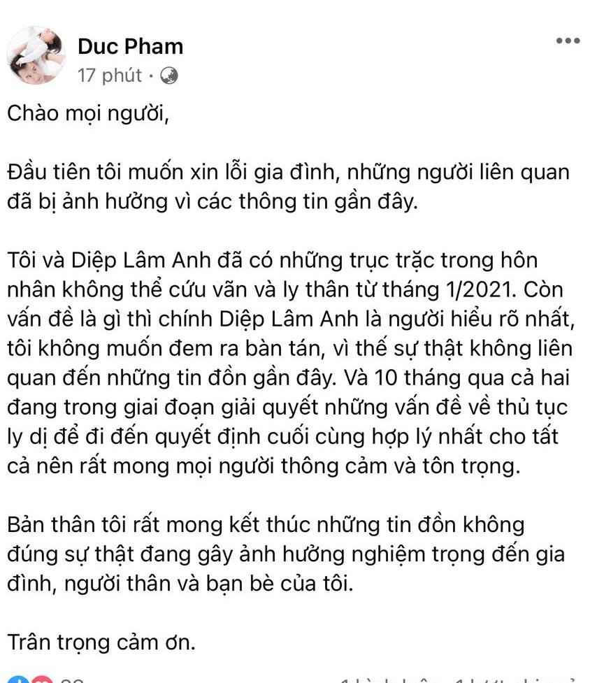 Diệp Lâm Anh trong tiệc sinh nhật 2 con: Không chụp cùng chồng, không đứng cạnh mẹ chồng - Ảnh 6