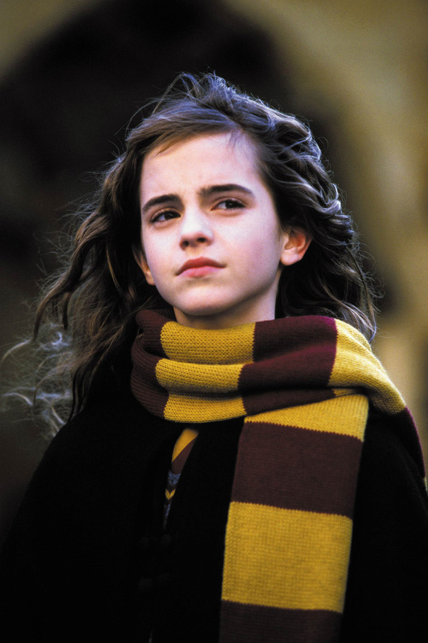 Emma Watson đẹp như nữ thần khi xuất hiện vài giây trong show của Adele - Ảnh 7