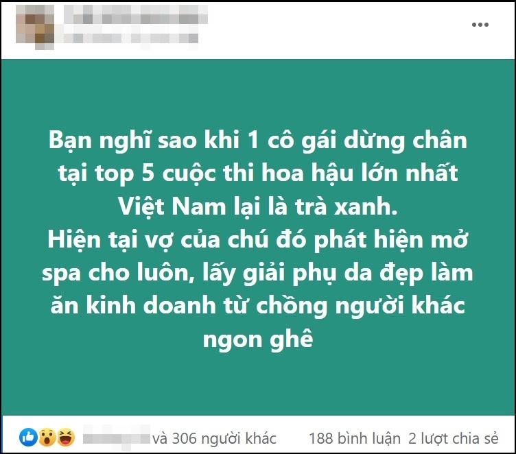 Thực hư chuyện Top 5 Hoa hậu Việt Nam Phương Quỳnh bị tố là 'trà xanh', bị bà cả phát hiện - Ảnh 1