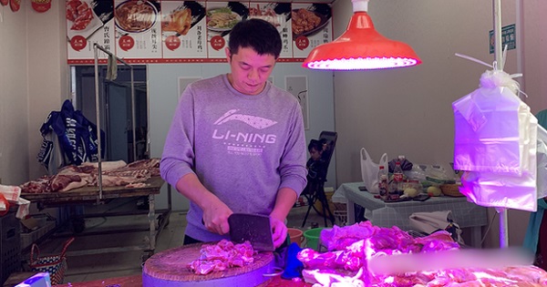 Thanh niên tốt nghiệp ĐH bằng đỏ bỏ việc về bán thịt lợn, 3 ngày lãi bằng cả tháng lương công chức