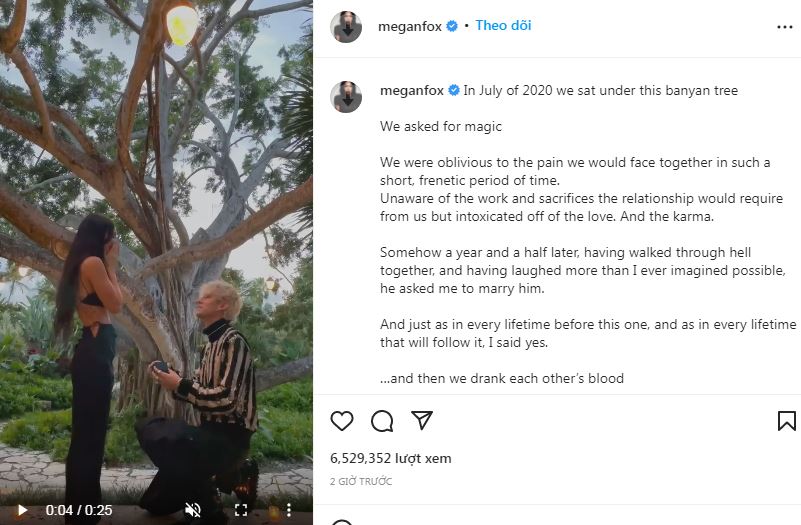 Megan Fox được bạn trai kém tuổi cầu hôn dưới gốc cây đa - Ảnh 2