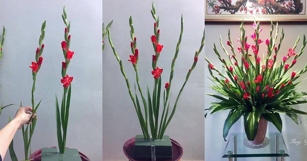 Mẹo cắm hoa lay ơn đẹp và giữ hoa lay ơn tươi lâu trên bàn thờ ngày Tết
