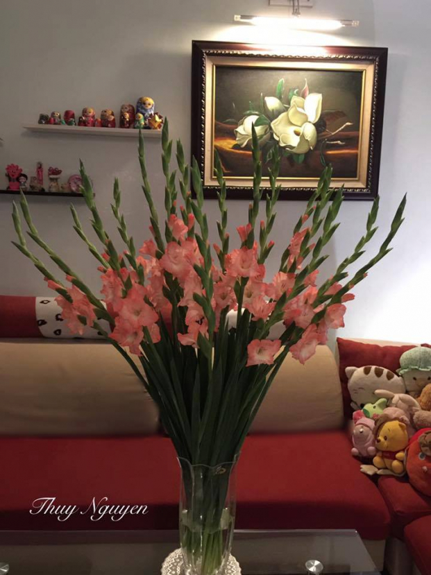 Mẹo cắm hoa lay ơn đẹp và giữ hoa lay ơn tươi lâu trên bàn thờ ngày Tết - Ảnh 7