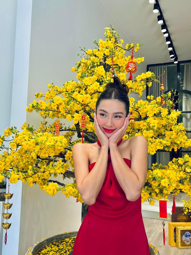 Miss Grand 2021 Thùy Tiên kiếm hơn 20 tỷ chỉ sau 2 tháng đăng quang - Ảnh 3